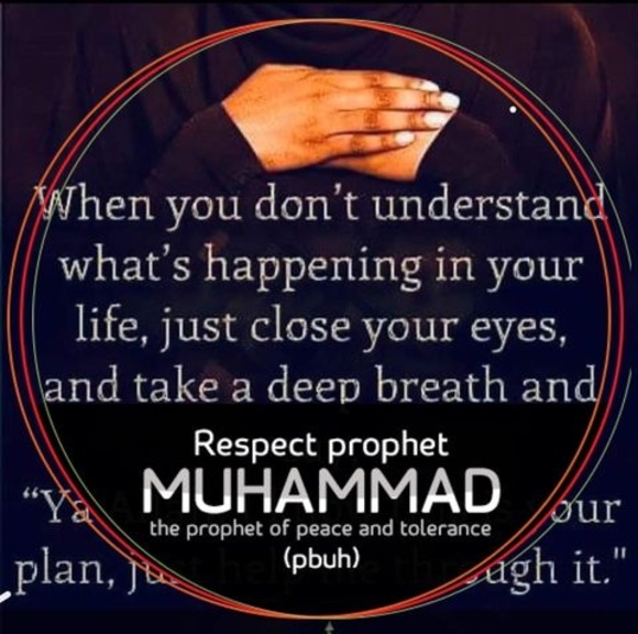 Meet your Posher, Mohammad - Picture 1 of 1